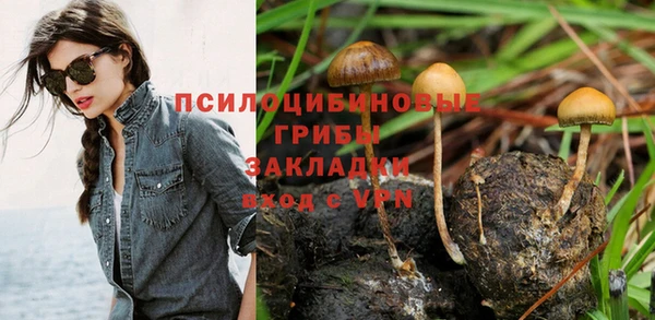 ALPHA PVP Билибино