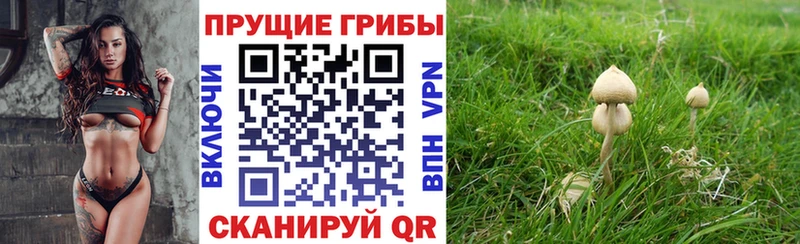 Псилоцибиновые грибы MAGIC MUSHROOMS  Катайск 