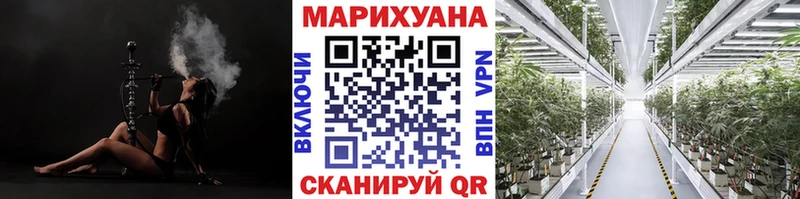 Бошки Шишки тримм Катайск